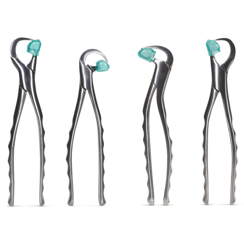 Physics Forceps Set
